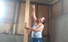 Mulher que acolheu 134 animais na Vila Esperança precisa reconstruir telhado de gatil