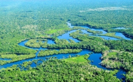 Amazônia perde por ano 350 km² de superfície de água