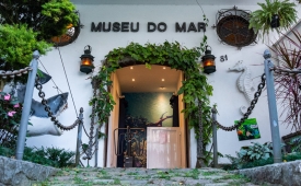 Celebrando 37 anos, Museu do Mar é um verdadeiro mergulho na biologia marinha