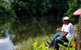 Torneio da Pesca da Tainha movimenta o feriado em Cubatão
