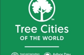 Cubatão recebe nesta quarta selo de ‘Cidade Verde do Mundo’