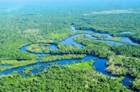 Amazônia perde por ano 350 km² de superfície de água