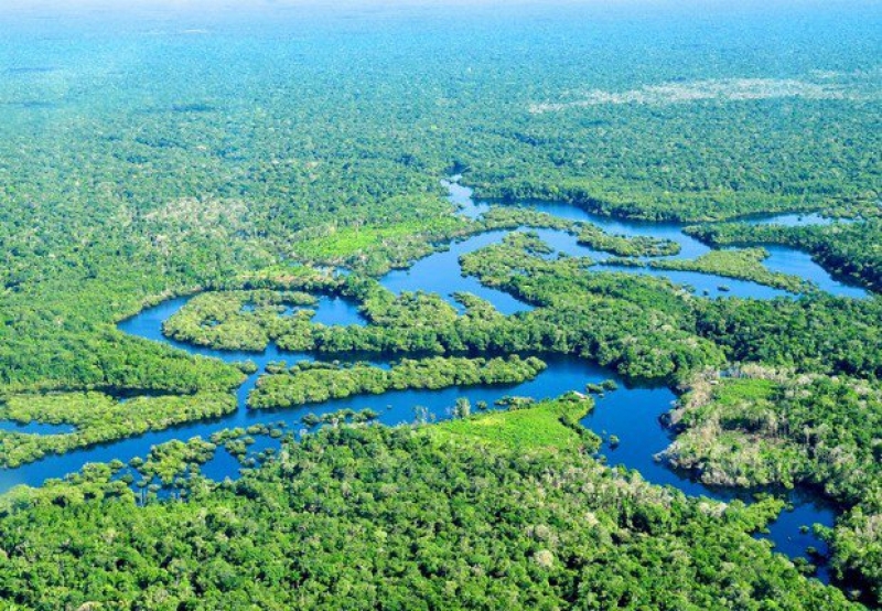 Amazônia perde por ano 350 km² de superfície de água