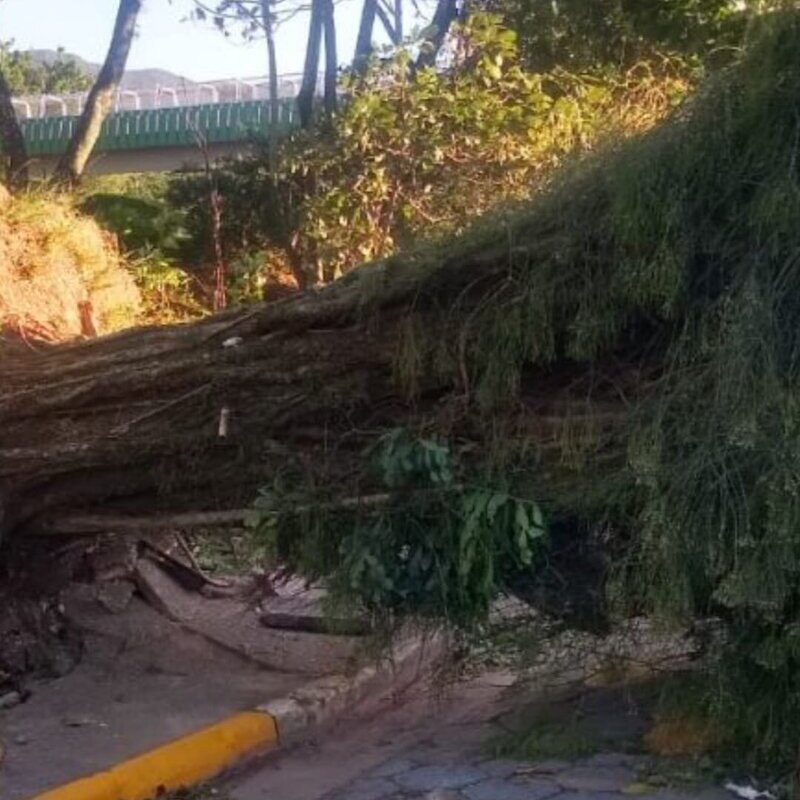 Prefeitura atualiza danos da ventania em Cubatão