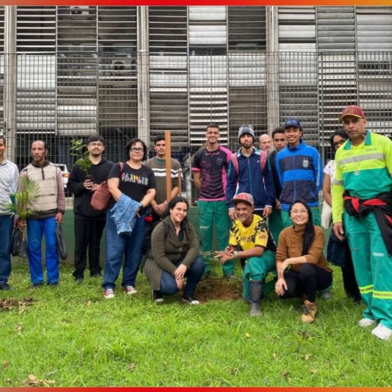 Jardineiro da Cidade: Semam promove treinamento sobre arborização