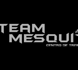 Publicidade